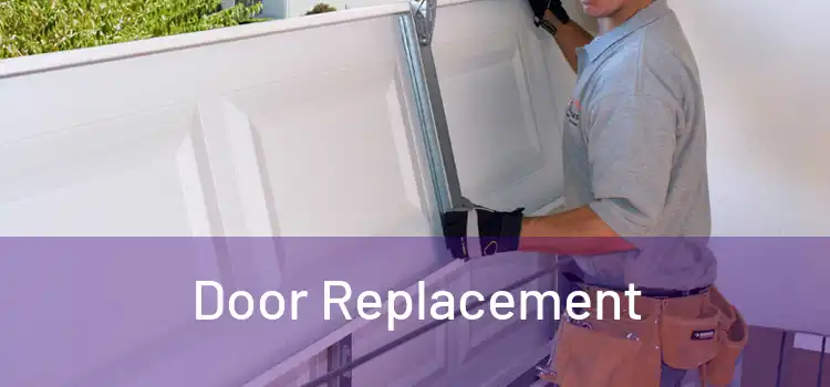  Door Replacement 