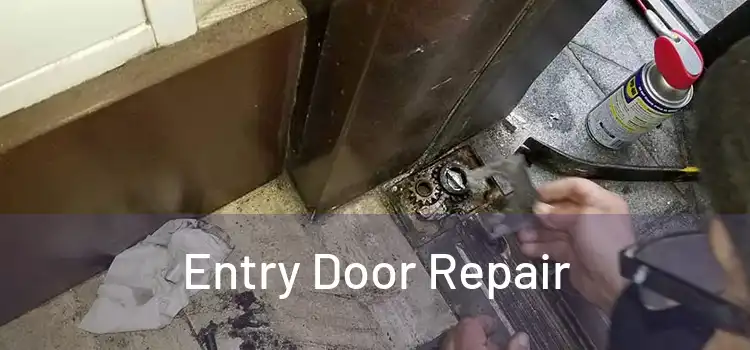  Entry Door Repair 