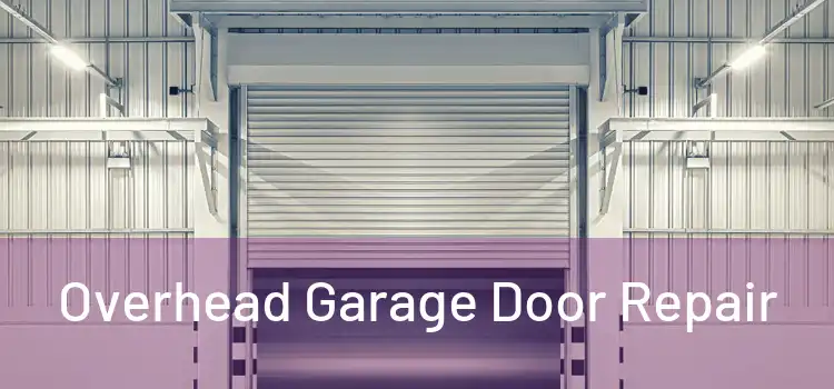 Overhead Garage Door Repair